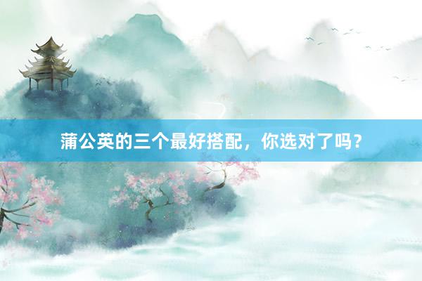 蒲公英的三个最好搭配，你选对了吗？